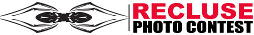 recluse-photo-1